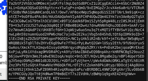 The hidden script re-generates an RSA private key